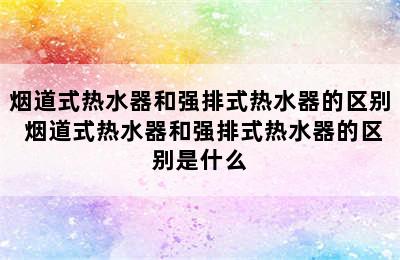 烟道式热水器和强排式热水器的区别 烟道式热水器和强排式热水器的区别是什么